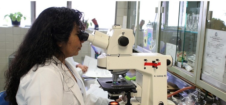 Mulher negra de cabelos cacheados, olha em microscópio. Ela está em laboratório com janelas de vidro e veste jaleco branco. Fim da descrição.